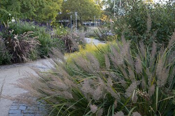 Beet im Luisenpark Mannheim
