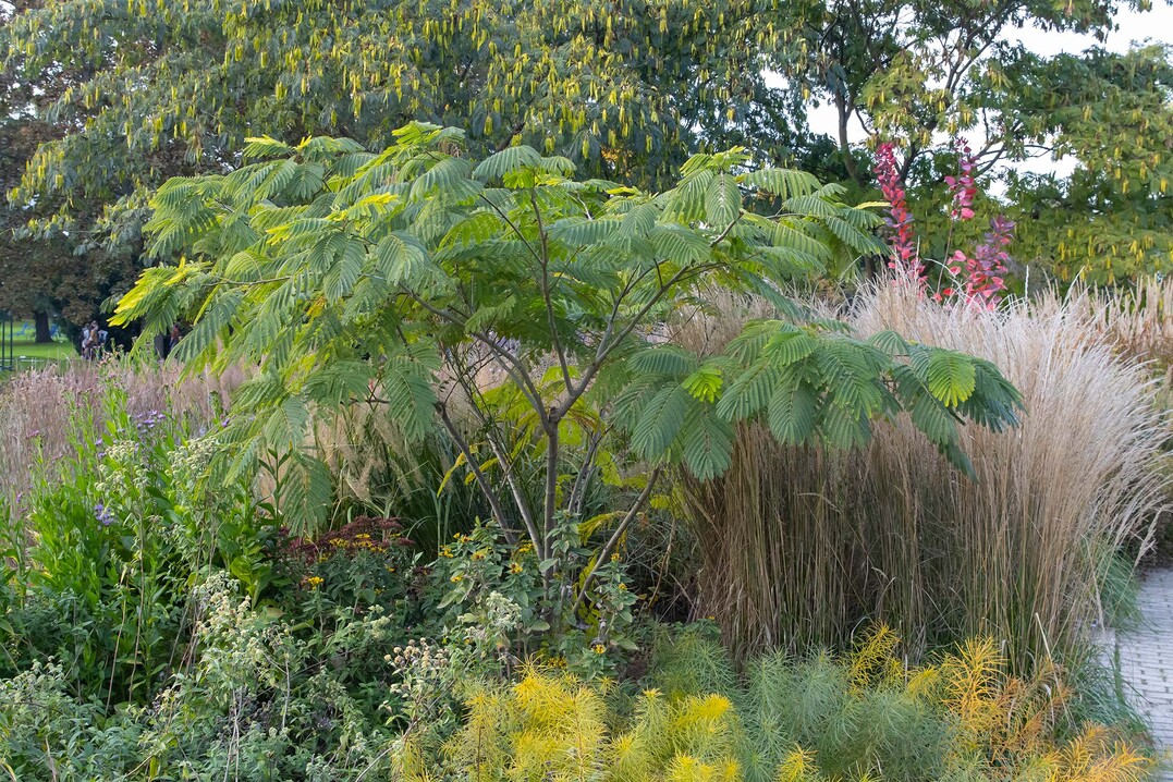 Beet im Luisenpark Mannheim