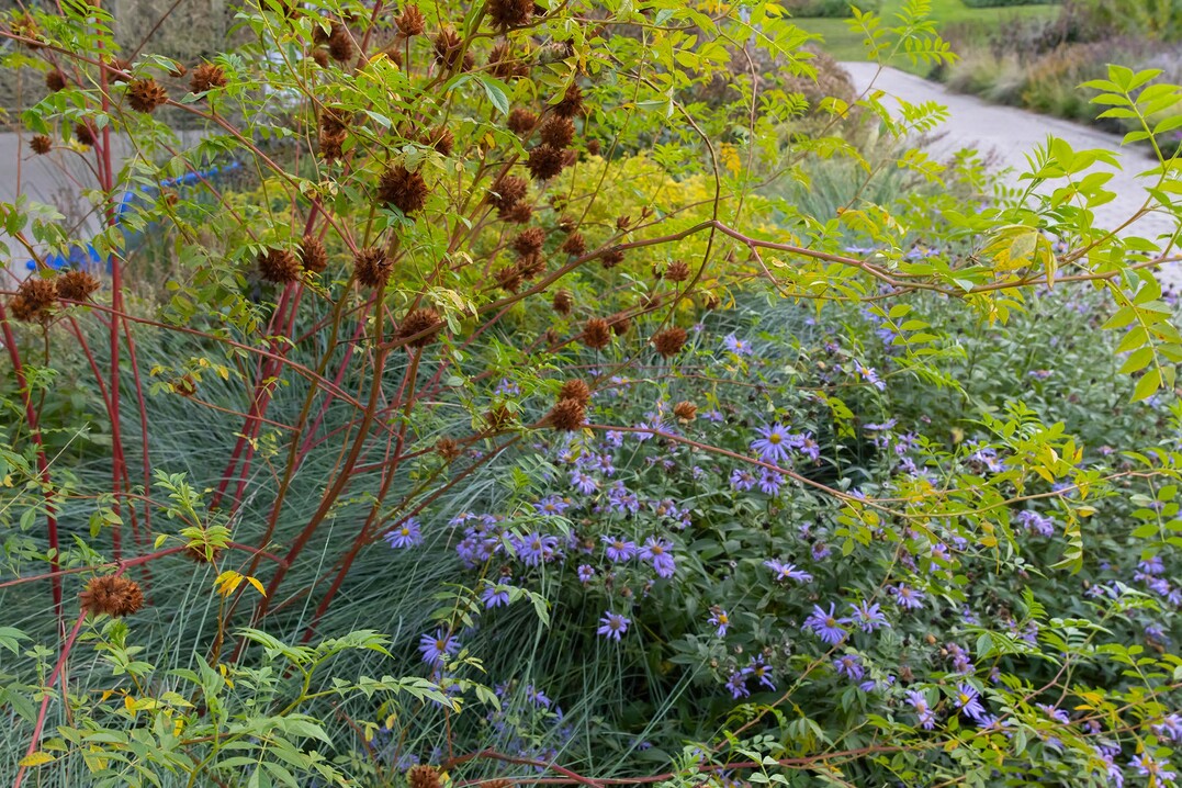 Beet im Luisenpark Mannheim