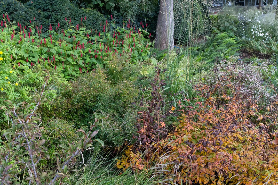 Beet im Luisenpark Mannheim