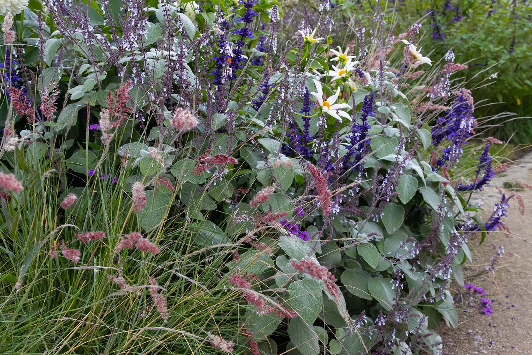 Beet im Luisenpark Mannheim
