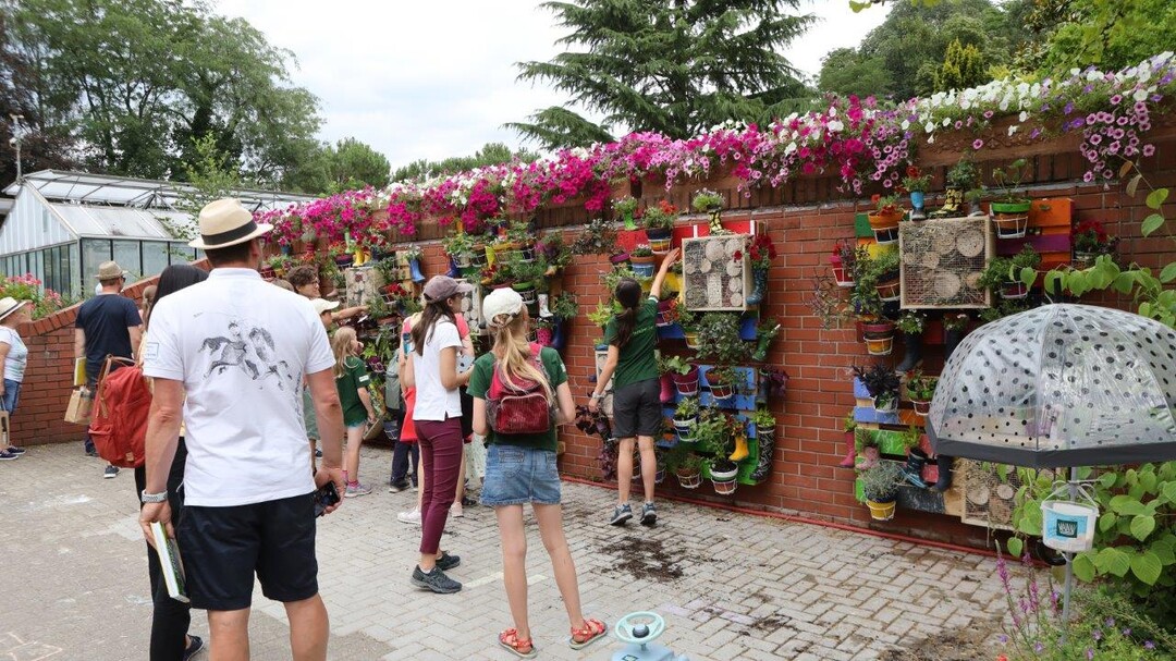 Kunterbunt und lebendig: die vertikal bepflanzte Backsteinwand im Garten fr Alle auf der Mainau.