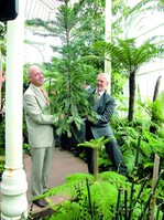 Prof. Dr. Dieter Jauch, Direktor der Wilhelma (r.), und Garry Grüber, Firma Kientzler, pflanzten die Wollemia gemeinsam