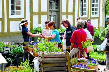 Die historische Atmosphre trug zum Erfolg des Pflanzenmarkts bei 