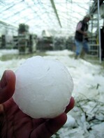 Hagelkorn mit knapp 10 cm Durchmesser