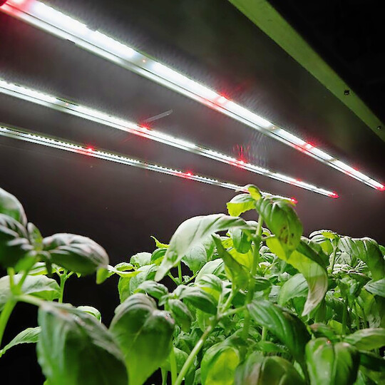 Die anpassbaren Beleuchtungslsungen Greenlux fr das vertikal Farming.