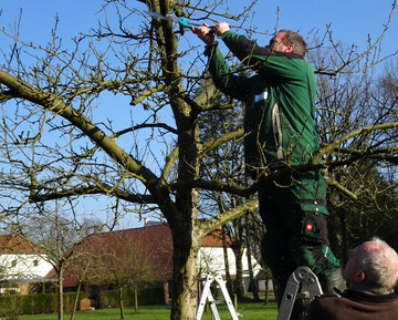 Zum Weiterbildungsprogramm der Niederschsischen Gartenakademie gehren auch Seminare zum Obstbaumschnitt.