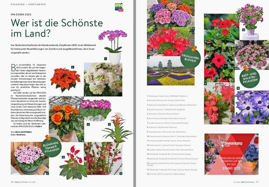 In DEGA GARTENBAU 1/2025 werden alle Kandidaten des Neuheitenschaufensters mit Bild vorgestellt.