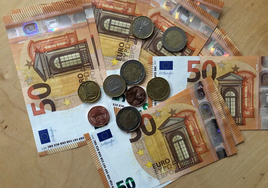 Bis zum 30. April 2025 können landwirtschaftliche Unternehmen beim Dienstleistungszentrum Ländlicher Raum (DLR) Mosel einen Förderantrag für Investitionen in Spezialmaschinen und Umweltinvestitionen einreichen.