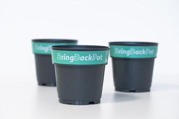 Der BringBackPot (BringZurckTopf) ist ein neuer Mehrwegtopf fr Pflanzen. Er wurde gemeinsam mit Beteiligten der gesamten Wertschpfungskette der Grnen Branche entwickelt. 