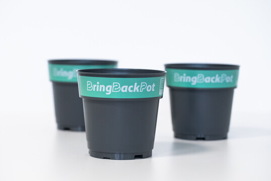 Der BringBackPot (BringZurckTopf) ist ein neuer Mehrwegtopf fr Pflanzen. Er wurde gemeinsam mit Beteiligten der gesamten Wertschpfungskette der Grnen Branche entwickelt. 