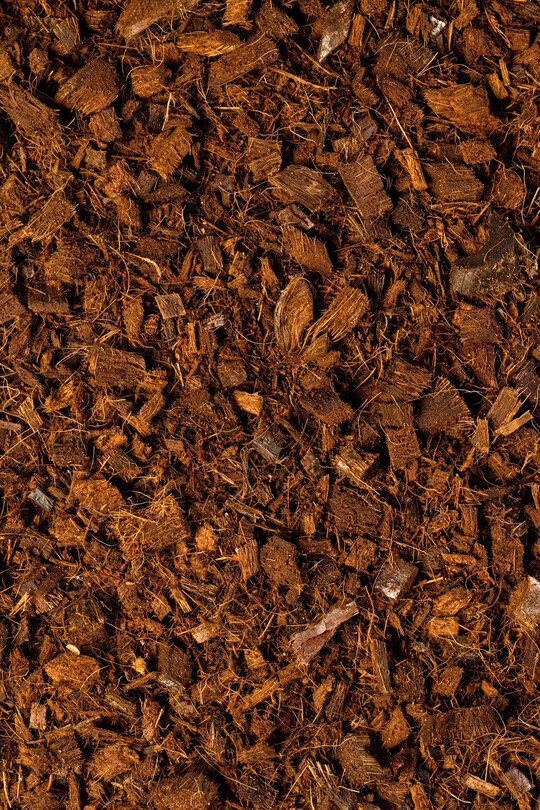 Der Torfersatzstoff Coco Chips von Gramoflor.