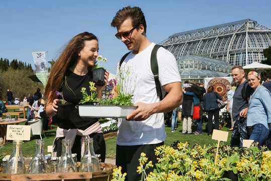 Der Berliner Staudenmarkt findet am 5. und 6. April 2025 im Botanischen Garten statt.