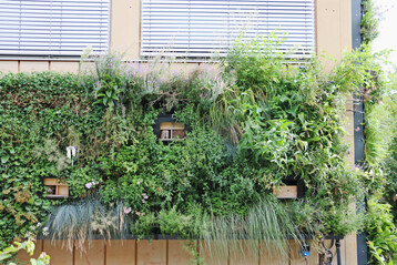 Abbildung 1: Teilansicht des wandgebundenen Systems der Biodiv-Fassade mit groer Strukturvielfalt und integrierten Habitatsystemen fr Wildbienen.