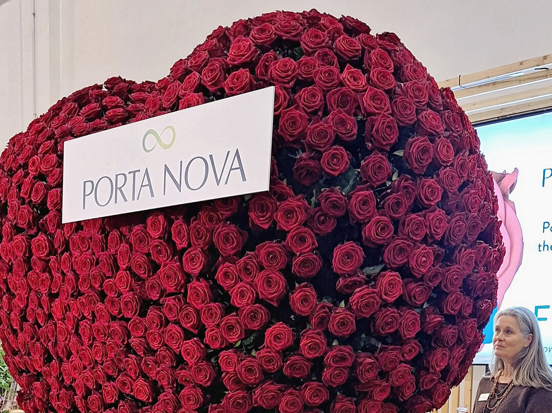 Rote Rosen  wie hier als riesiges Herz gesteckt auf der IPM 2025 prsentiert  und solche in anderen Farben waren laut der Umfrage der Renner zu Valentin.