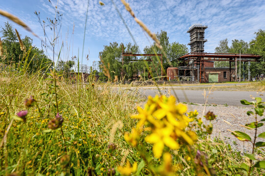 IGA-Projekte Zukunftsgrten, hier das Projekt Zukunftsgarten Dortmund, rund um das Industriedenkmal Kokerei Hansa am Deusenberg.