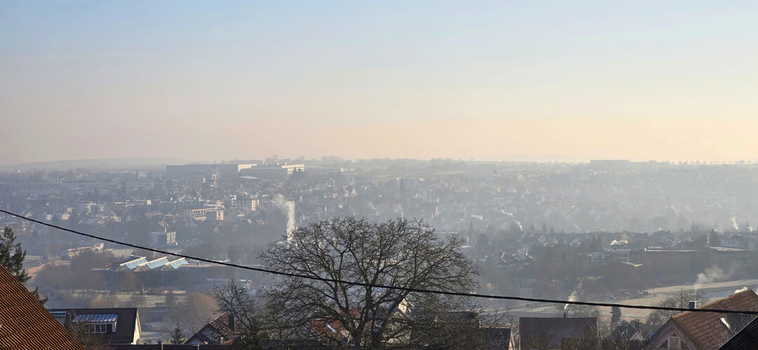 Der Winter 2024/25 war mehrheitlich mild, geprgt von frhlingshaften Schben, aber auch von vorbergehenden, teils markanten Frostphasen.
