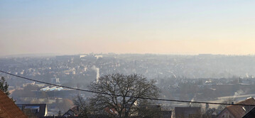 Der Winter 2024/25 war mehrheitlich mild, geprgt von frhlingshaften Schben, aber auch von vorbergehenden, teils markanten Frostphasen.
