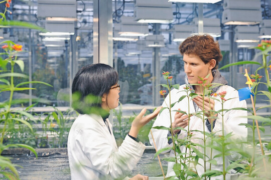 Die Universitt Hohenheim sucht zum nchstmglichen Zeitpunkt eine W3-Professur fr Gartenbauwissenschaften am Institut fr Kulturpflanzenwissenschaften.
