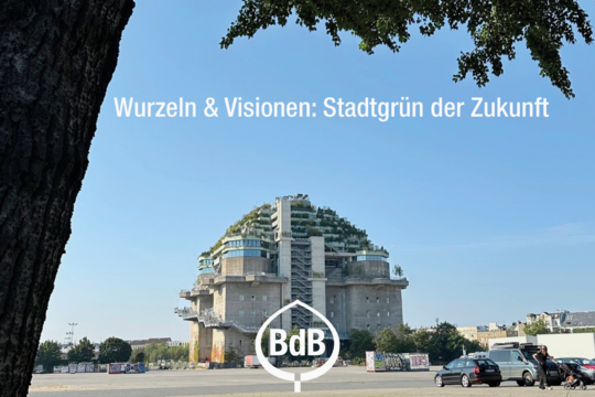 Am 3. und 4. Juli 2025 ldt der BdB zum Transformationskongress Wurzeln & Visionen: Stadtgrn der Zukunft ein. 