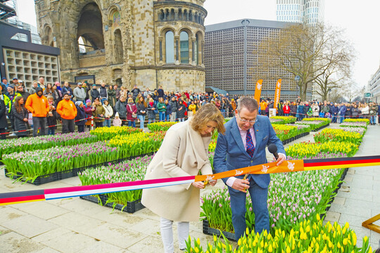Die niederlndische Botschafterin Hester Somsen und Arjan Smit, Vorsitzender der TPN, erffnen den TulipDay Berlin.