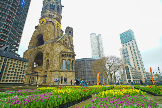 Die Vereinigung Tulpen Promotie Nederland (TPN), der über 400 Gärtner angehören, organisierte zusammen mit der Botschaft des Königreichs der Niederlande erstmals einen TulipDay Berlin.