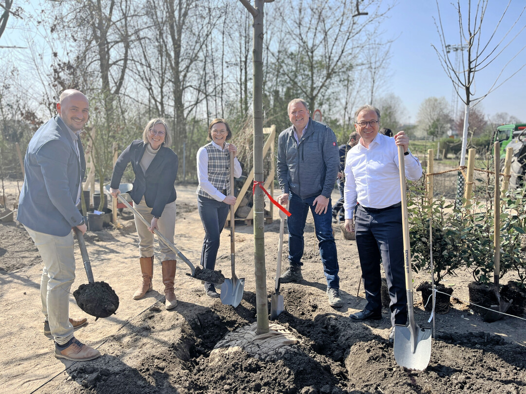 Von links: Jan Sommer, Annette Nothnagel, Christin Haack, Christoph Dirksen und Reiner Breuer pflanzten einen Rotahorn als einen der ersten Bume auf dem Gelnde des Baumschulbeitrags.