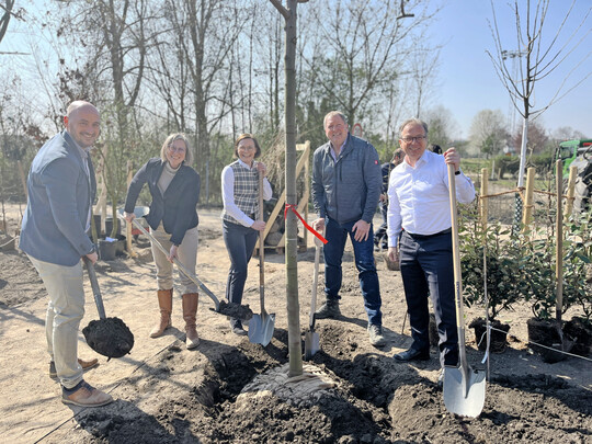 Von links: Jan Sommer, Annette Nothnagel, Christin Haack, Christoph Dirksen und Reiner Breuer pflanzten einen Rotahorn als einen der ersten Bume auf dem Gelnde des Baumschulbeitrags.