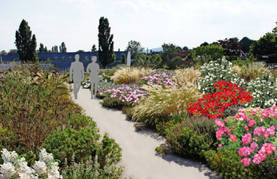 Nicht nur die Bauarbeiten fr die Internationale Gartenausstellung (IGA) 2027 im Ruhrgebiet gehen voran, auch die Planungen fr die Grtnerischen Ausstellungen.