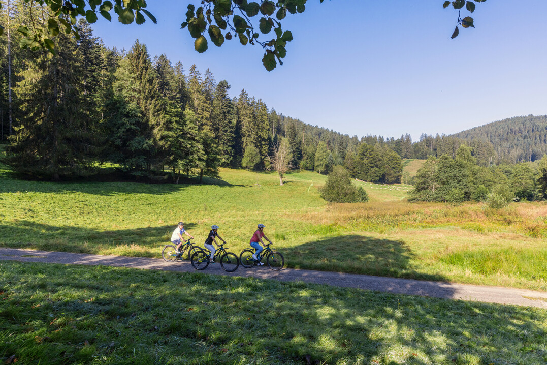Das 8 km lange Forbachtal zwischen Baiersbronn und Freudenstadt ist Austragungsort der Gartenschau Tal X