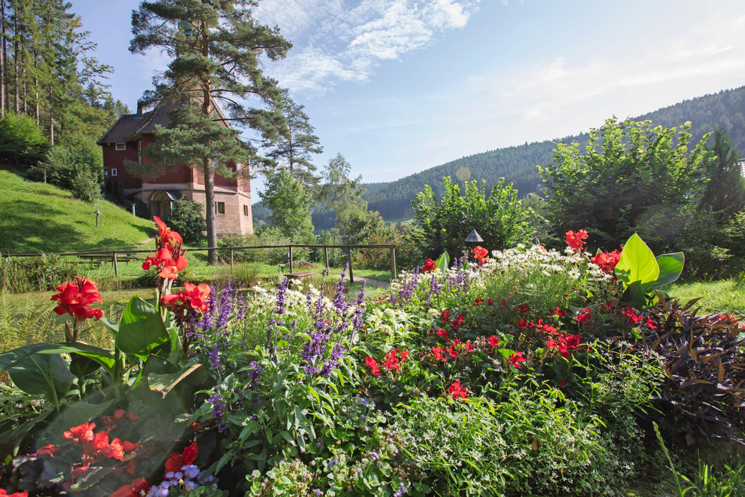 Michaelskirche im Zentrum mit neu gestalteter Wechselflorpflanzung