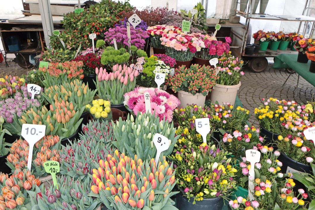Blumenbunde und fertige Strue  was fr ein Angebot schon im Mrz!