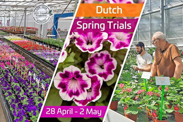 Whrend der Dutch Spring Trials in der ersten Maiwoche 2025 stellen acht Pflanzenzchter in Nordholland ihre neuesten Sortimente vor.