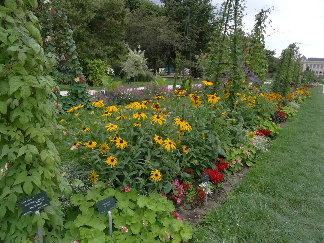Jardin des Plantes, Paris