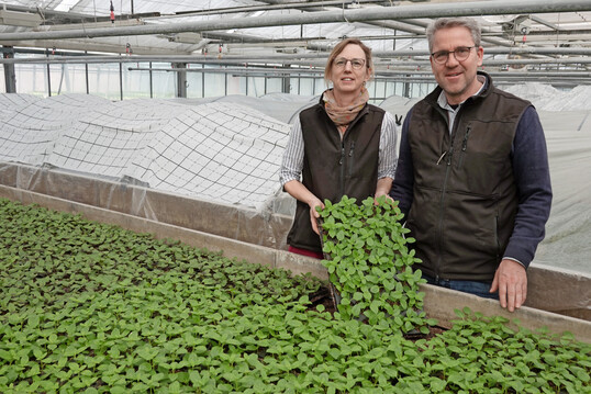 Simone und Oliver Krebs vermehren die Kruter- und Gemsepflanzen selber.
