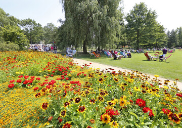 Eine tgliche Wsserung sorgt fr einen immer vitalen und attraktiven Blumenschmuck auf der igs in Hamburg.