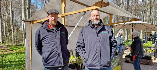 Marco Fransen (rechts) und Peter Westerbar von Fransen Hostas in Ter Aar, Niederlande.