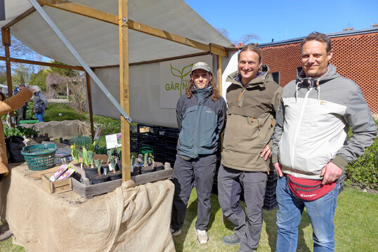 Am Stand der Kräuter- und Staudengärtnerei aus Fargau von links: Oskar Roth, Inhaber Frederik Moos und Christian Moos.