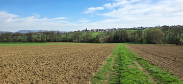 Von Anfang Februar bis Mitte April blieb es sehr niederschlagsarm.