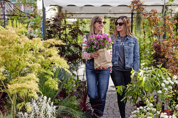 Auf Ende April ldt das Merano Flower Festival nach Sdtirol ein.