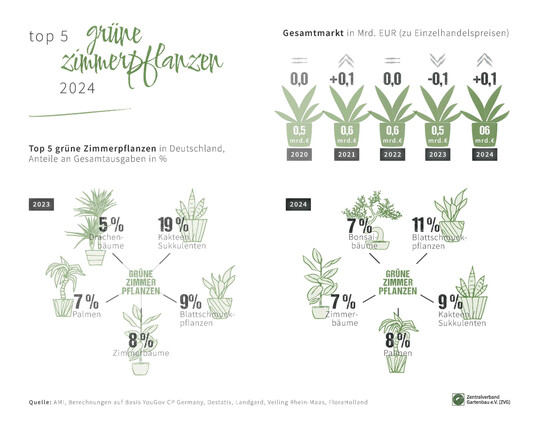 TOP 5  grne Zimmerpflanzen 2024