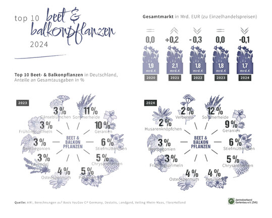 TOP 10 – Beet- & Balkonpflanzen 2024