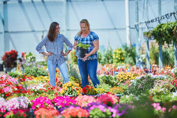 Nach der Schule ins Berufsleben starten: mit einer Ausbildung im Gartenbau, die Theorie und Praxis vereint.