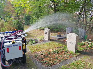 Wasserwilli Rainos auf dem Friedhof Rednitzhembach.