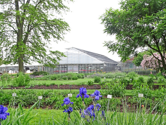 Der Gartenbautag in Stuttgart-Hohenheim bietet am 1. Juli 2025 ein abwechslungsreiches Programm fr Grtner.