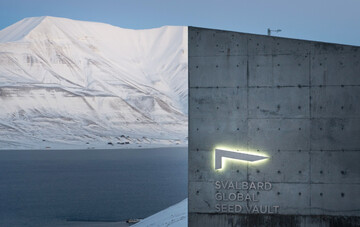 Seit 2008 bewahrt der internationale Saatguttresor (Global Seed Vault), von dem hier der Eingangsbereich zu sehen ist, Proben aus der ganzen Welt auf.
