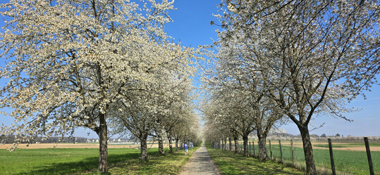 Der April endete als siebtwrmster und brachte ungewhnlich frhe Sommerwrme.