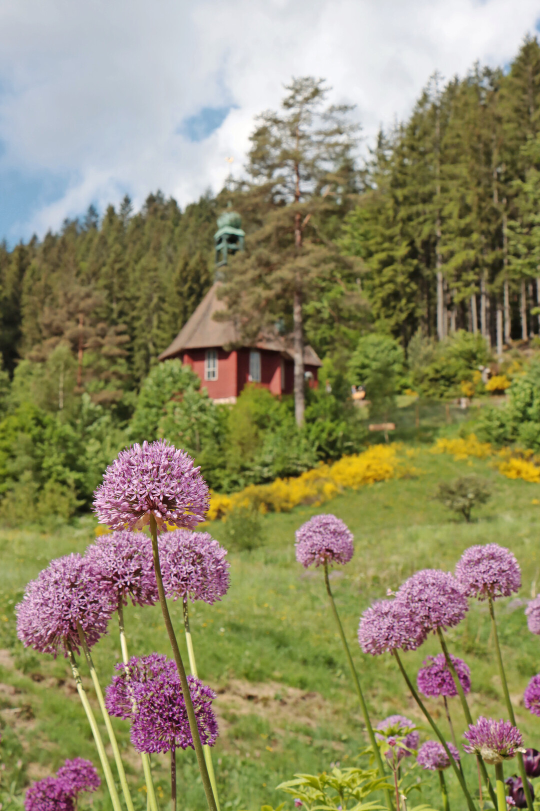Die Gartenschau ist von der Schwarzwald-Kulisse eingerahmt. Im Hintergrund die Michaelskirche in Friedrichstal.