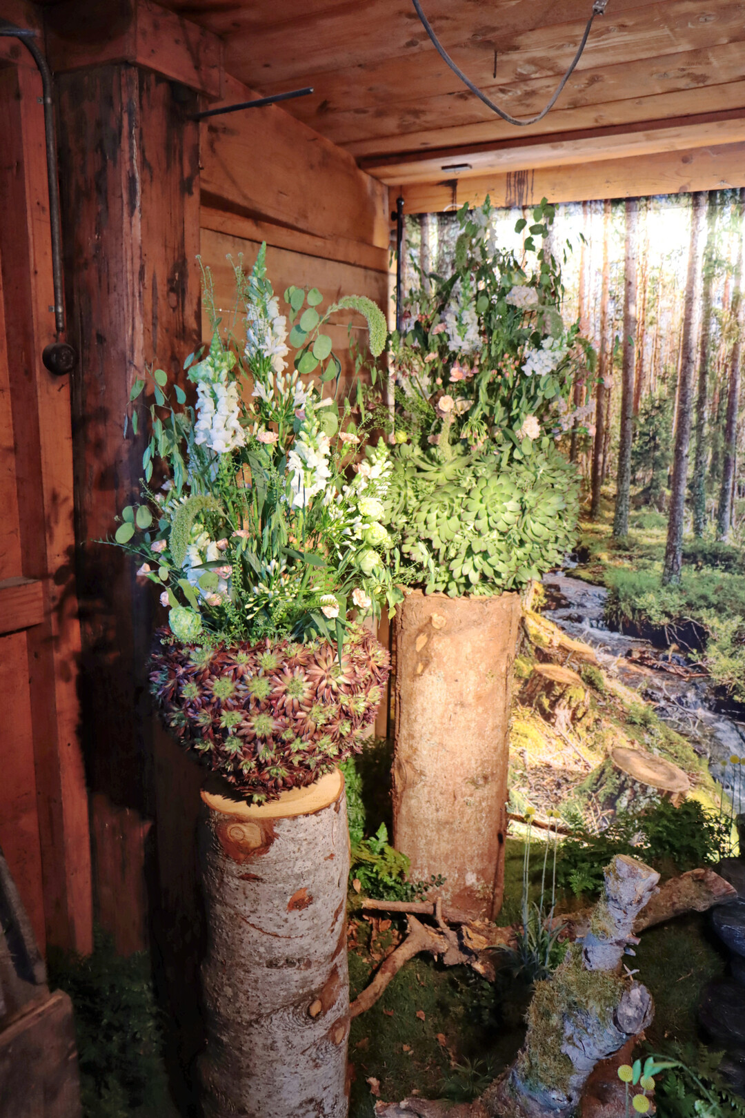 Wechselnde floristische Ausstellungen finden sich in der ehemaligen Tuchwalke im Ausstellungsbereich Aquaflora. 
