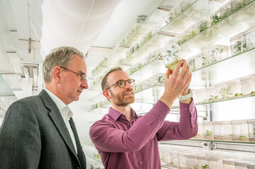Das Team um Institutsleiter Prof. Ralph Bock (links) und Projektleiter Dr. Daniel Dunkelmann (rechts) wird in Krze Nutzpflanzen der nchsten Generation mit optimierten Chloroplastengenomen entwickeln.